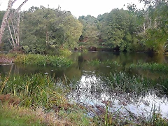 DSCN5276 DSCN5276