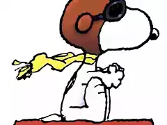 Snoopy flaying