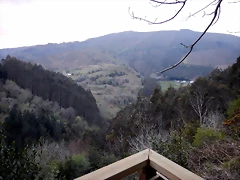 DSCN9676 DSCN9676