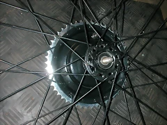 DSCN0103 DSCN0103