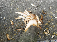 20120105_022827 20120105_022827