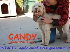 CANDY Sevilla