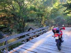 IMG_8499 IMG_8499
