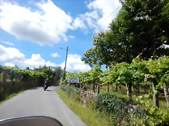 DSCN7714 DSCN7714