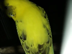 IMG-20190429-WA0005