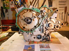 DSCN1510 DSCN1510