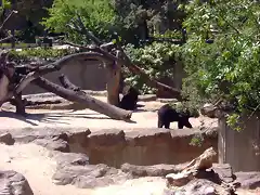 zoo 2