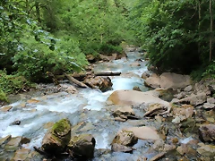 IMG_7572 IMG_7572