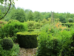 IMG_6637 IMG_6637