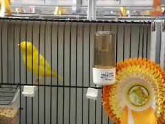 IMG_20170122_123518 IMG_20170122_123518
