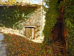 DSCN9055 DSCN9055