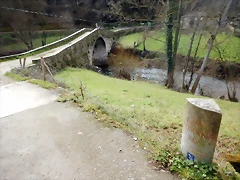 DSCN4917 DSCN4917