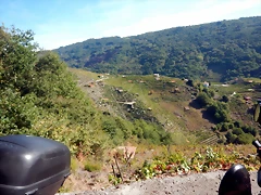 DSCN0453 DSCN0453