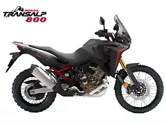 ta 800-negro copia