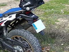 Trans_GIVI_det Trans_GIVI_det