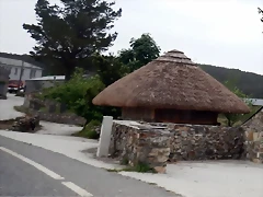 DSCN6490 DSCN6490