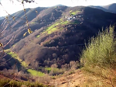 DSCN3008 DSCN3008