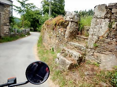 DSCN4331 DSCN4331