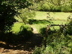 DSCN0053 DSCN0053