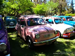 DSC_0683 DSC_0683