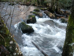 DSCN2088 DSCN2088