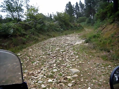 IMG_0215 IMG_0215