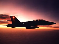 avion de combate avion de combate