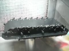 DSCN3346 DSCN3346