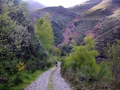 DSCN9079 DSCN9079