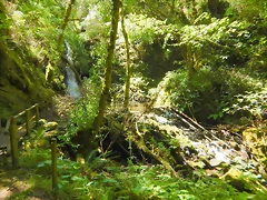 DSCN7645 DSCN7645