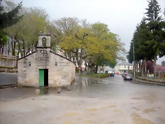 DSCN4214 DSCN4214