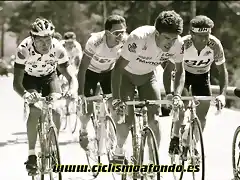 Perico-Vuelta1989-Pino2