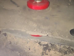 IMAG0314 IMAG0314