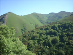 Ancares suso 024 Ancares suso 024