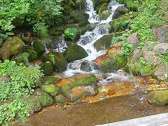 DSCN3834 DSCN3834