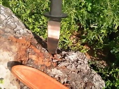IMG_20220418_173459_555 IMG_20220418_173459_555
