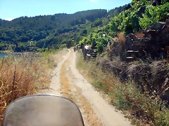 DSCN4136 DSCN4136