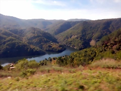 DSCN4605 DSCN4605