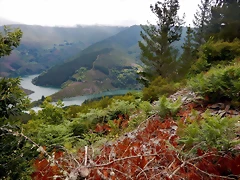 DSCN1281 DSCN1281