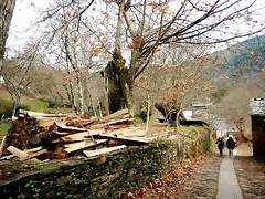 DSCN3230 DSCN3230