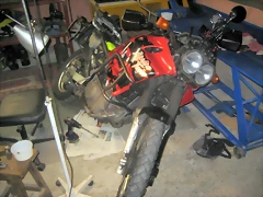 IMG_1551'2 IMG_1551'2