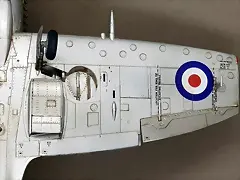 SDC21303 SDC21303