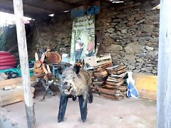 DSCN2627 DSCN2627