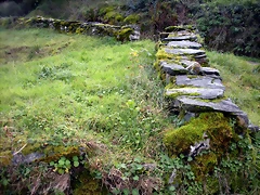 DSCN0471