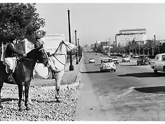 Barcelona Av. Diagonal (13)