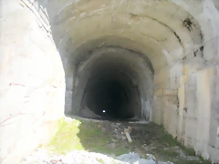 DSCN5113 DSCN5113