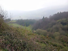 DSCN8175 DSCN8175