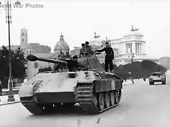 Panther_215_rome_44_4