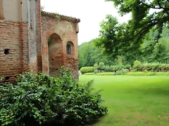 IMG_6613 IMG_6613