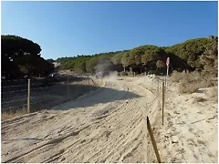 polvo y bache polvo y bache